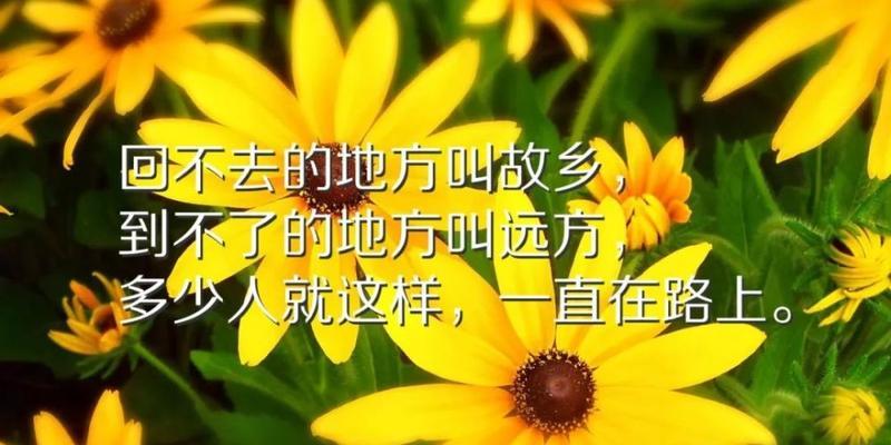 冬日温馨，短句为主的唯美说说（分享25条冬日佳句）