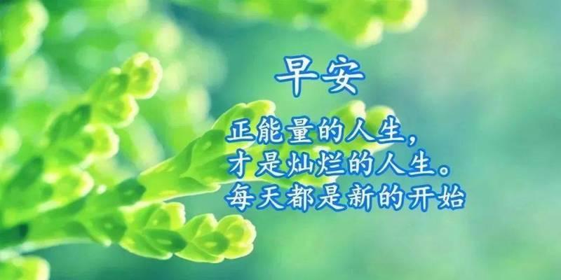 美好的早晨，迎接新的一天（美好的早晨）