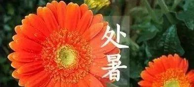 处暑微信祝福语，唯美短句送祝福（送给你一份清凉祝福）