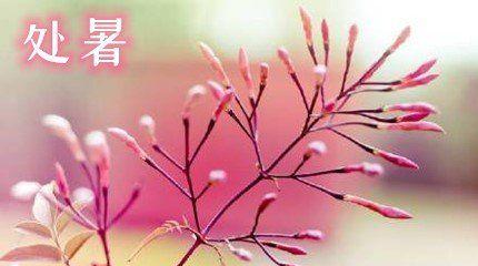 逝夏迎凉——处暑祝福语大（用唯美短句）