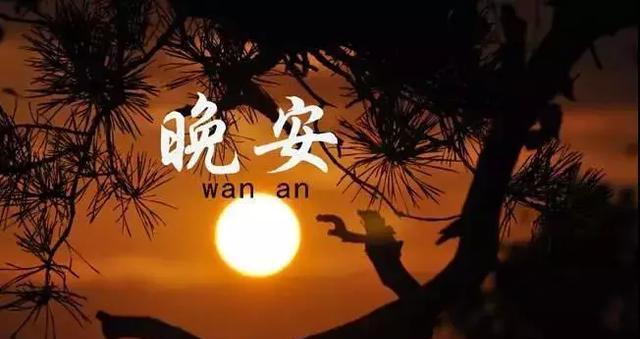 2024朋友圈晚安问候语好句（唯美短句）