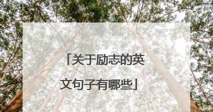 《阳光温暖人心》