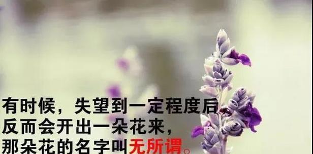 八月的美，只有在这里（八月的美）