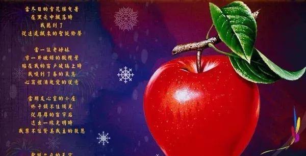 温暖传递，爱心相伴——2024平安夜祝福语说说（传递爱和温暖）