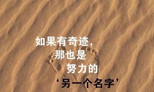 坚持不懈的力量（永不放弃的坚韧）