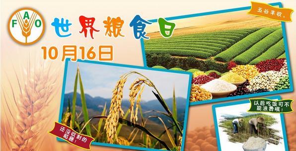 护粮一步，离食物更近（护粮一步）