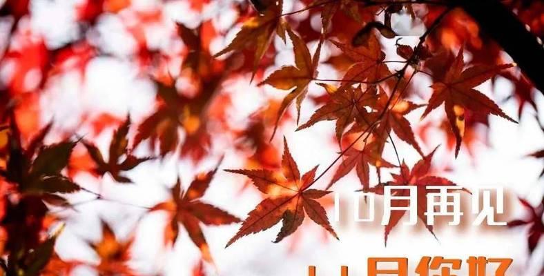 岁月无声地逝去，留下美好的回忆（2024年十月是一个美好的开始）