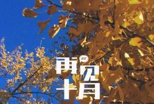 秋天的离别与相遇（十月再见）