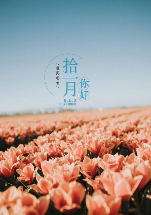 十月离别，十一月相遇——我和季节的故事（向往花开的季节）