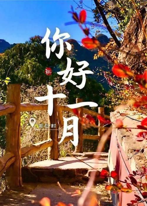 岁月轮转，花开花落（十月的落叶）