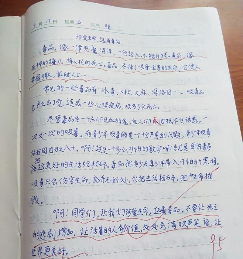 《小学生的禁毒故事》（从小拒绝毒品）