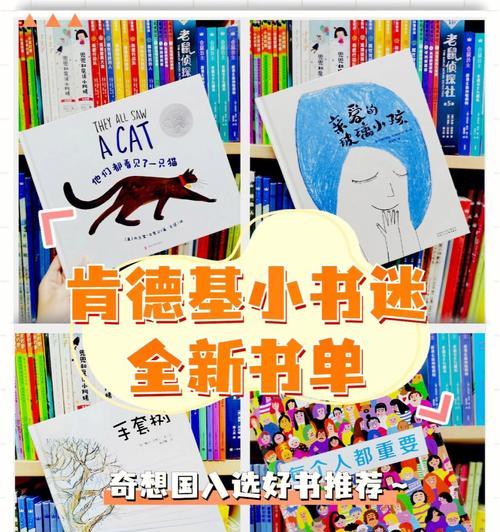 小书迷的探险之旅——一位少年与书的故事