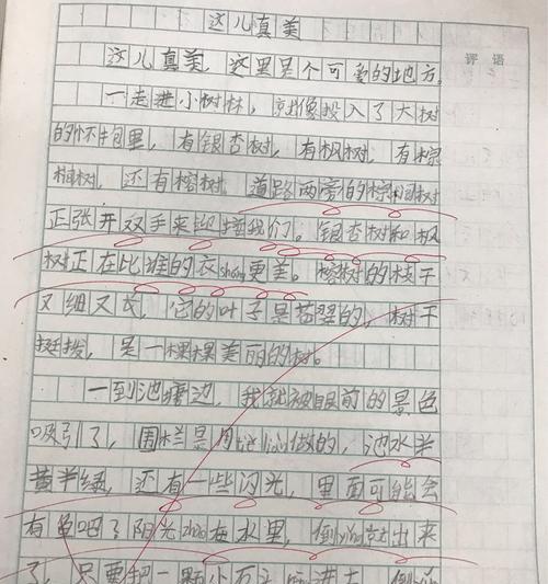 这儿真美（一个悲伤的故事）