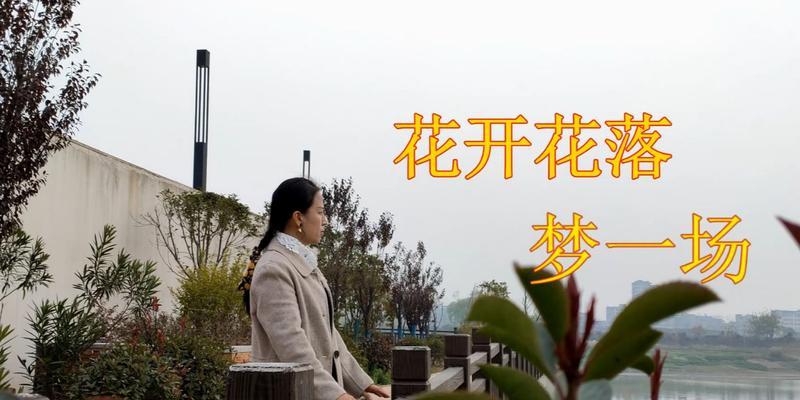 一段心路历程（一段心路历程）