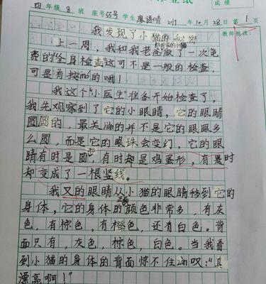 我在森林里的那次发现（寻找探险之旅的惊险历程）