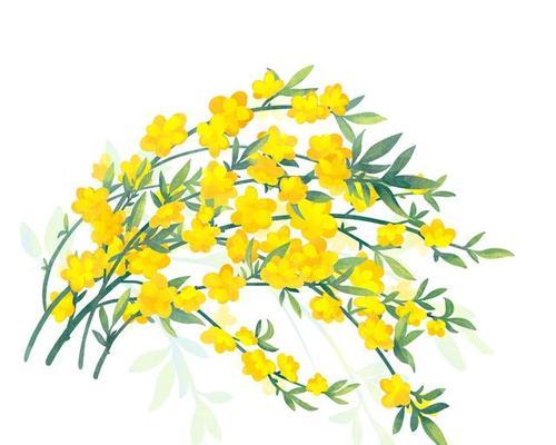 意外的成功（从失败到成功的故事）