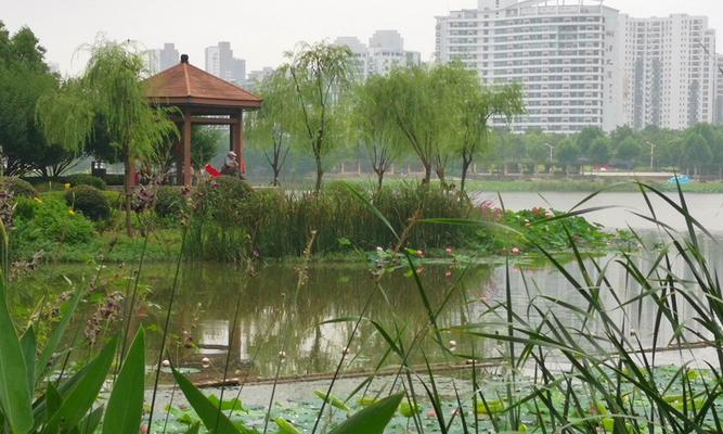 一个家庭的周末旅行（一个家庭的周末旅行）