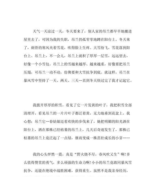 与吊兰相依相伴的日子（与吊兰相依相伴的日子）