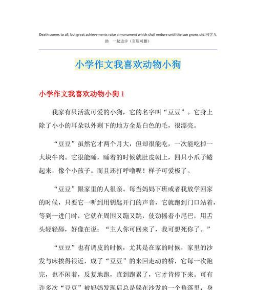 小动物的朋友（让我感受到生命的美好）