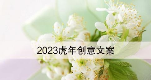 天际璀璨，人海浩渺（2024元旦跨年盛典）
