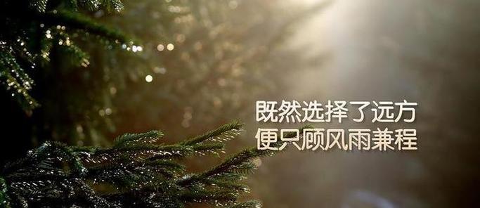 倩影往事，岁月如歌（忆流年）