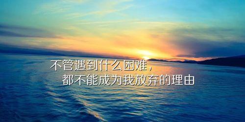 坚持不懈，迎接未来