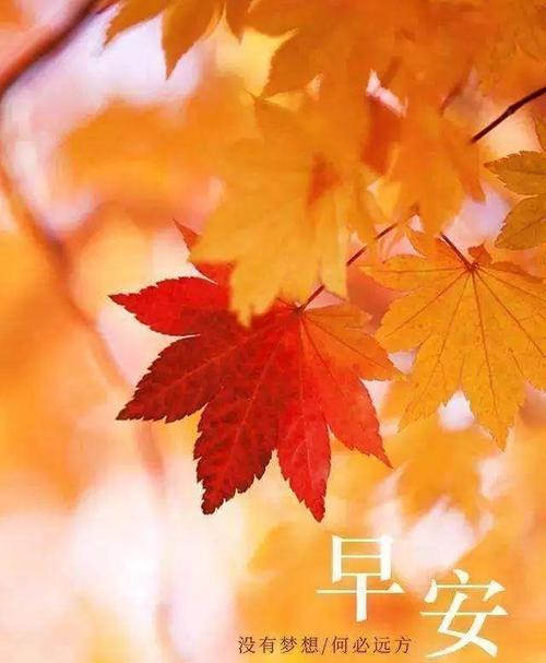 鼓舞人心的名言助力你向前迈进（鼓舞人心的名言助力你向前迈进）