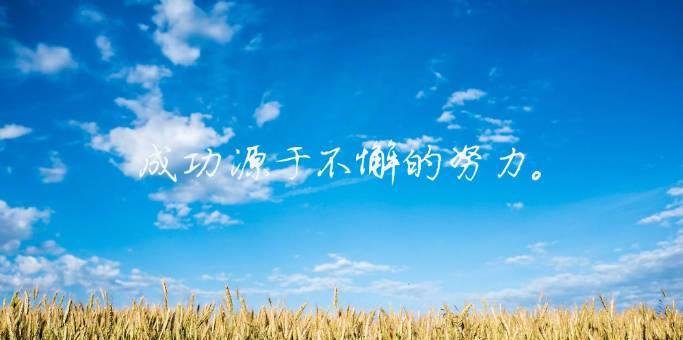 用心灵之光照亮未来，踏上翱翔的征程（用心灵之光照亮未来）