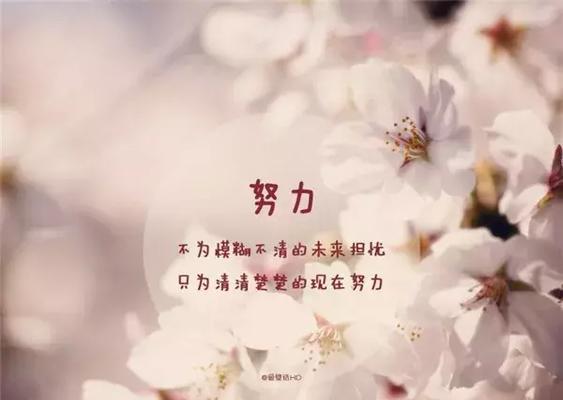 启迪心灵，点亮未来的名言（以智慧之光）