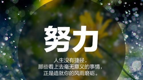 用唯美短句传递正能量（让梦想照进心扉）