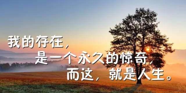 奋斗路上的花开（以鼓励人生坎坷的名言为主题）