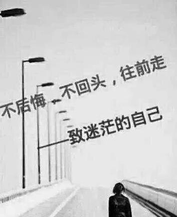 坚持不懈，绽放光芒（25个句子）