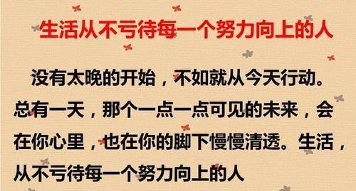 《奋斗不止，梦想永存》