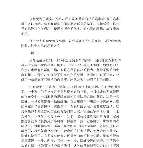 梦想起航坚持不懈（一个少年的不懈追求）
