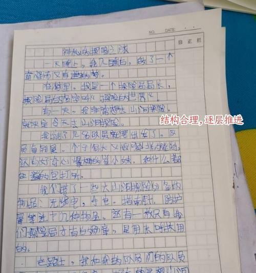 远征南极（独木舟探险）