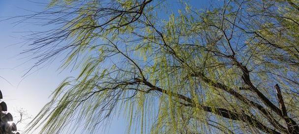青春岁月，热血青年（时光匆匆）