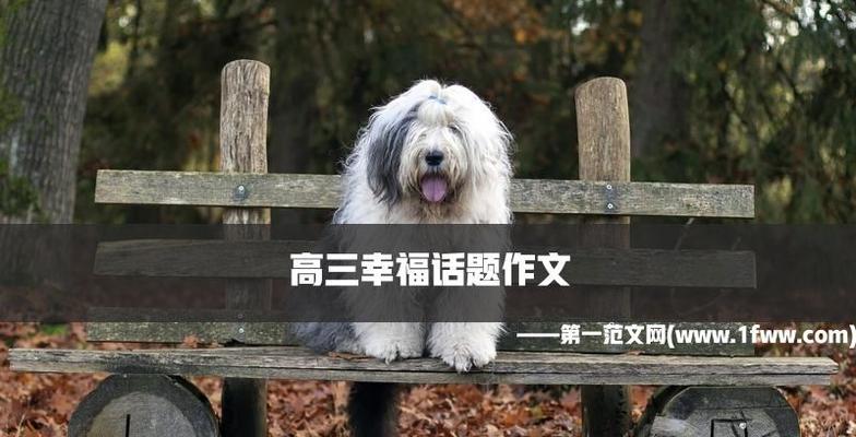 幸福惬意的生活（一个普通人如何获得幸福惬意）