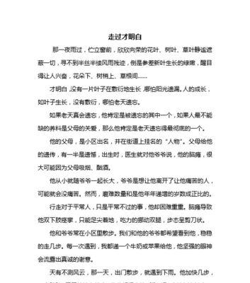 追逐自由、追寻梦想（追逐自由）