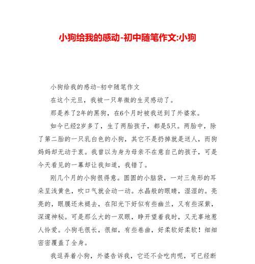 小黑的幸福之旅（用真爱感动世界）