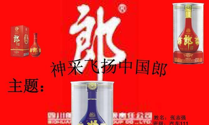 神采飞扬（我的青春梦想）