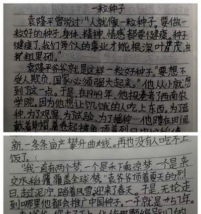 心存敬意——一位母亲的真情付出（母亲的坚定信念和真挚爱心）