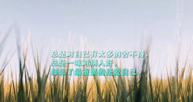 静思美丽，言语如诗（用好句子）