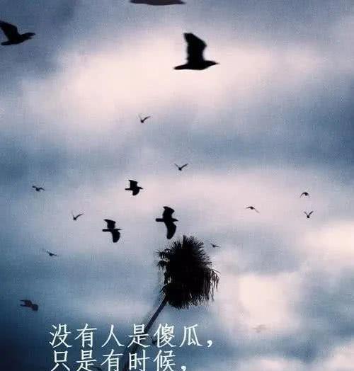 感悟岁月，铭刻心灵（感悟岁月）
