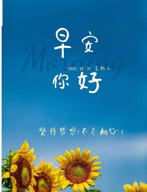 五月的芬芳与温暖（用励志祝福语句子点亮心灵）