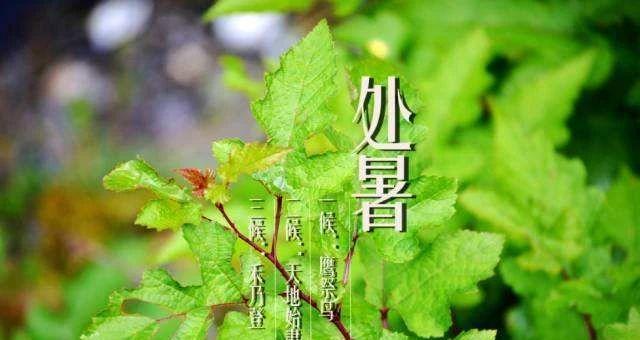 今日处暑，抖音很火：唯美短句