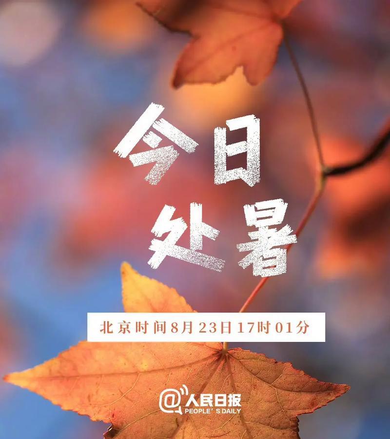 今日处暑——夏日盛典