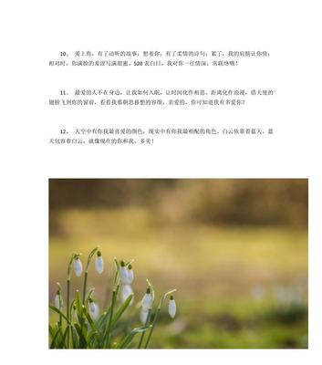 520快乐句子优美短句集锦（用唯美句子表达你的爱意）