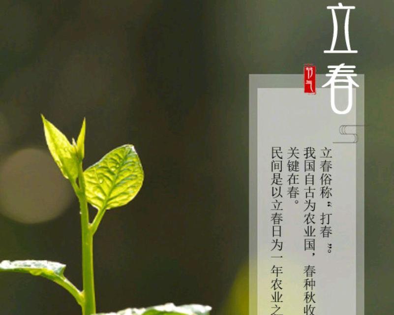 迎春之际，寄语新年（以今日立春为契机）