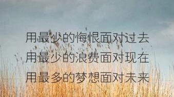 坚强勇敢，迎接人生挑战（50句励志名言）