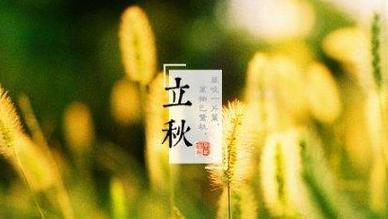 立秋时节，我心情好（一篇唯美短句的文章）